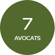 7Avocats.png